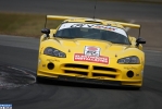 Belgian GT :: IMG_3279_BGT2008