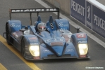 plm-42591_marked